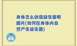 身体怎么创造益生菌呢图片(如何在身体内自然产生益生菌)