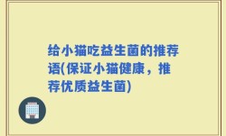 给小猫吃益生菌的推荐语(保证小猫健康，推荐优质益生菌)