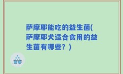 萨摩耶能吃的益生菌(萨摩耶犬适合食用的益生菌有哪些？)