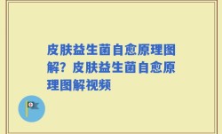皮肤益生菌自愈原理图解？皮肤益生菌自愈原理图解视频