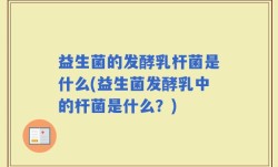 益生菌的发酵乳杆菌是什么(益生菌发酵乳中的杆菌是什么？)