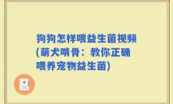 狗狗怎样喂益生菌视频(萌犬啃骨：教你正确喂养宠物益生菌)