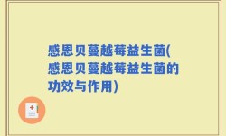 感恩贝蔓越莓益生菌(感恩贝蔓越莓益生菌的功效与作用)