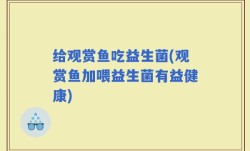 给观赏鱼吃益生菌(观赏鱼加喂益生菌有益健康)