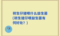 初生仔猪喂什么益生菌(初生猪仔喂益生菌有何好处？)