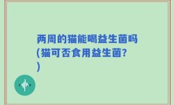 两周的猫能喝益生菌吗(猫可否食用益生菌？)
