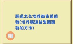 肠道怎么培养益生菌菌群(培养肠道益生菌菌群的方法)