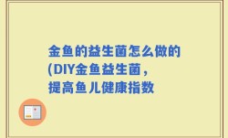 金鱼的益生菌怎么做的(DIY金鱼益生菌，提高鱼儿健康指数