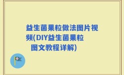 益生菌果粒做法图片视频(DIY益生菌果粒  图文教程详解)