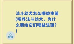 法斗幼犬怎么喂益生菌(喂养法斗幼犬，为什么要给它们喂益生菌？)