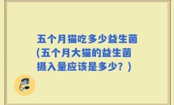 五个月猫吃多少益生菌(五个月大猫的益生菌摄入量应该是多少？)
