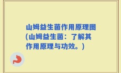 山姆益生菌作用原理图(山姆益生菌：了解其作用原理与功效。)
