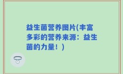 益生菌营养图片(丰富多彩的营养来源：益生菌的力量！)