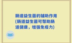 肠道益生菌的辅助作用(肠道益生菌可帮助肠道健康，增强免疫力)