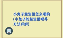 小兔子益生菌怎么喂的(小兔子的益生菌喂养方法详解)