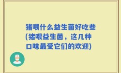猪喂什么益生菌好吃些(猪喂益生菌，这几种口味最受它们的欢迎)