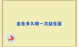 金鱼多久喂一次益生菌