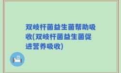 双岐杆菌益生菌帮助吸收(双岐杆菌益生菌促进营养吸收)