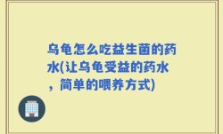 乌龟怎么吃益生菌的药水(让乌龟受益的药水，简单的喂养方式)