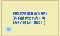 狗挑食喂益生菌管用吗(狗狗挑食怎么办？可以给它喂益生菌吗？)