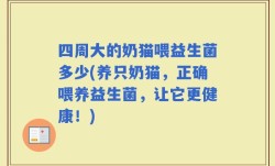 四周大的奶猫喂益生菌多少(养只奶猫，正确喂养益生菌，让它更健康！)