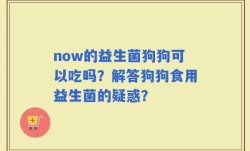 now的益生菌狗狗可以吃吗？解答狗狗食用益生菌的疑惑？