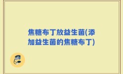 焦糖布丁放益生菌(添加益生菌的焦糖布丁)