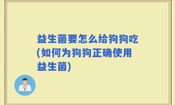 益生菌要怎么给狗狗吃(如何为狗狗正确使用益生菌)