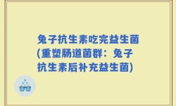兔子抗生素吃完益生菌(重塑肠道菌群：兔子抗生素后补充益生菌)