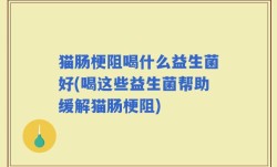 猫肠梗阻喝什么益生菌好(喝这些益生菌帮助缓解猫肠梗阻)