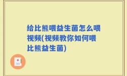 给比熊喂益生菌怎么喂视频(视频教你如何喂比熊益生菌)