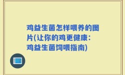 鸡益生菌怎样喂养的图片(让你的鸡更健康：鸡益生菌饲喂指南)