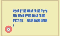 双歧杆菌跟益生菌的作用(双歧杆菌和益生菌的功效：提高肠道健康)