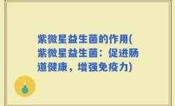 紫微星益生菌的作用(紫微星益生菌：促进肠道健康，增强免疫力)