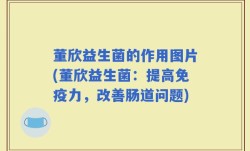董欣益生菌的作用图片(董欣益生菌：提高免疫力，改善肠道问题)