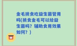 金毛挑食吃益生菌管用吗(挑食金毛可以给益生菌吗？辅助食用效果如何？)