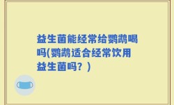 益生菌能经常给鹦鹉喝吗(鹦鹉适合经常饮用益生菌吗？)