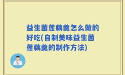益生菌莲藕羹怎么做的好吃(自制美味益生菌莲藕羹的制作方法)