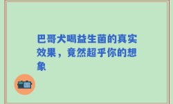 巴哥犬喝益生菌的真实效果，竟然超乎你的想象