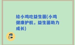 给小鸡吃益生菌(小鸡健康护航，益生菌助力成长)