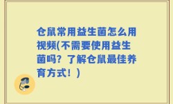 仓鼠常用益生菌怎么用视频(不需要使用益生菌吗？了解仓鼠最佳养育方式！)