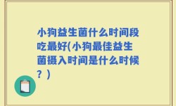 小狗益生菌什么时间段吃最好(小狗最佳益生菌摄入时间是什么时候？)