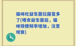 猫咪吃益生菌拉屎变多了(喂食益生菌后，猫咪排便频率增加，注意观察)