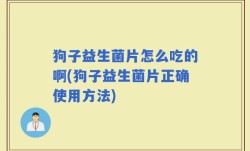 狗子益生菌片怎么吃的啊(狗子益生菌片正确使用方法)
