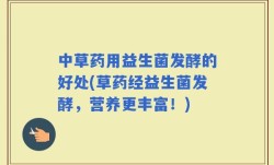 中草药用益生菌发酵的好处(草药经益生菌发酵，营养更丰富！)