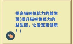 提高猫咪抵抗力的益生菌(提升猫咪免疫力的益生菌，让爱宠更健康！)