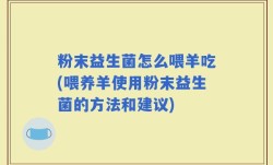 粉末益生菌怎么喂羊吃(喂养羊使用粉末益生菌的方法和建议)