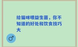 给猫咪喂益生菌，你不知道的好处和饮食技巧大