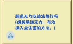 肠道无力吃益生菌行吗(缓解肠道无力，有效摄入益生菌的方法。)