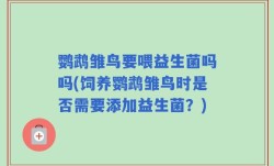 鹦鹉雏鸟要喂益生菌吗吗(饲养鹦鹉雏鸟时是否需要添加益生菌？)